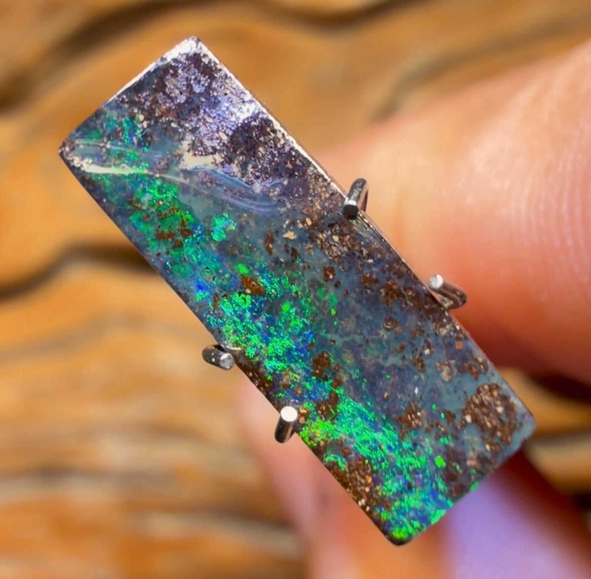 2.6cts - Queensland Boulder Seam Opal