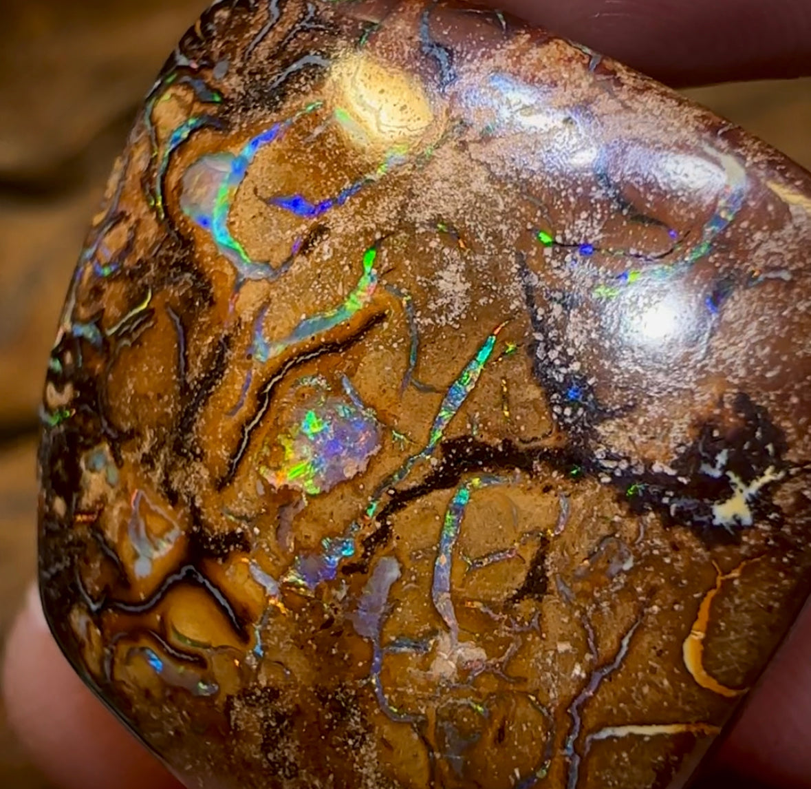 35.1cts - Queensland Boulder Opal - Opal Whisperers