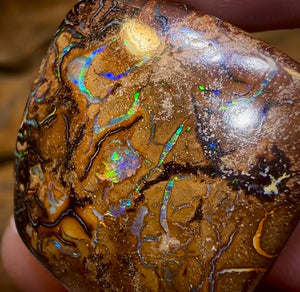 35.1cts - Queensland Boulder Opal - Opal Whisperers