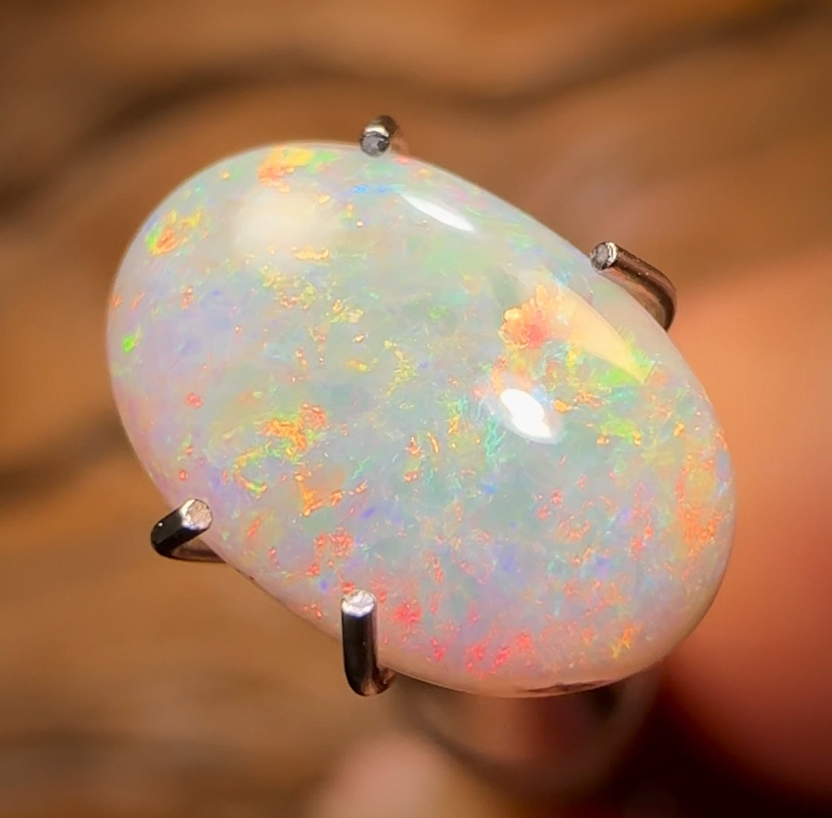 1.4cts - Lightning Ridge Dark Opal BARGAIN
