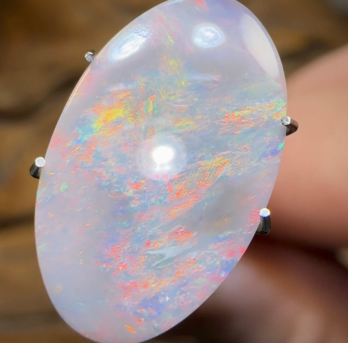 3.1cts - Quality Lightning Ridge Black Opal - Opal Whisperers
