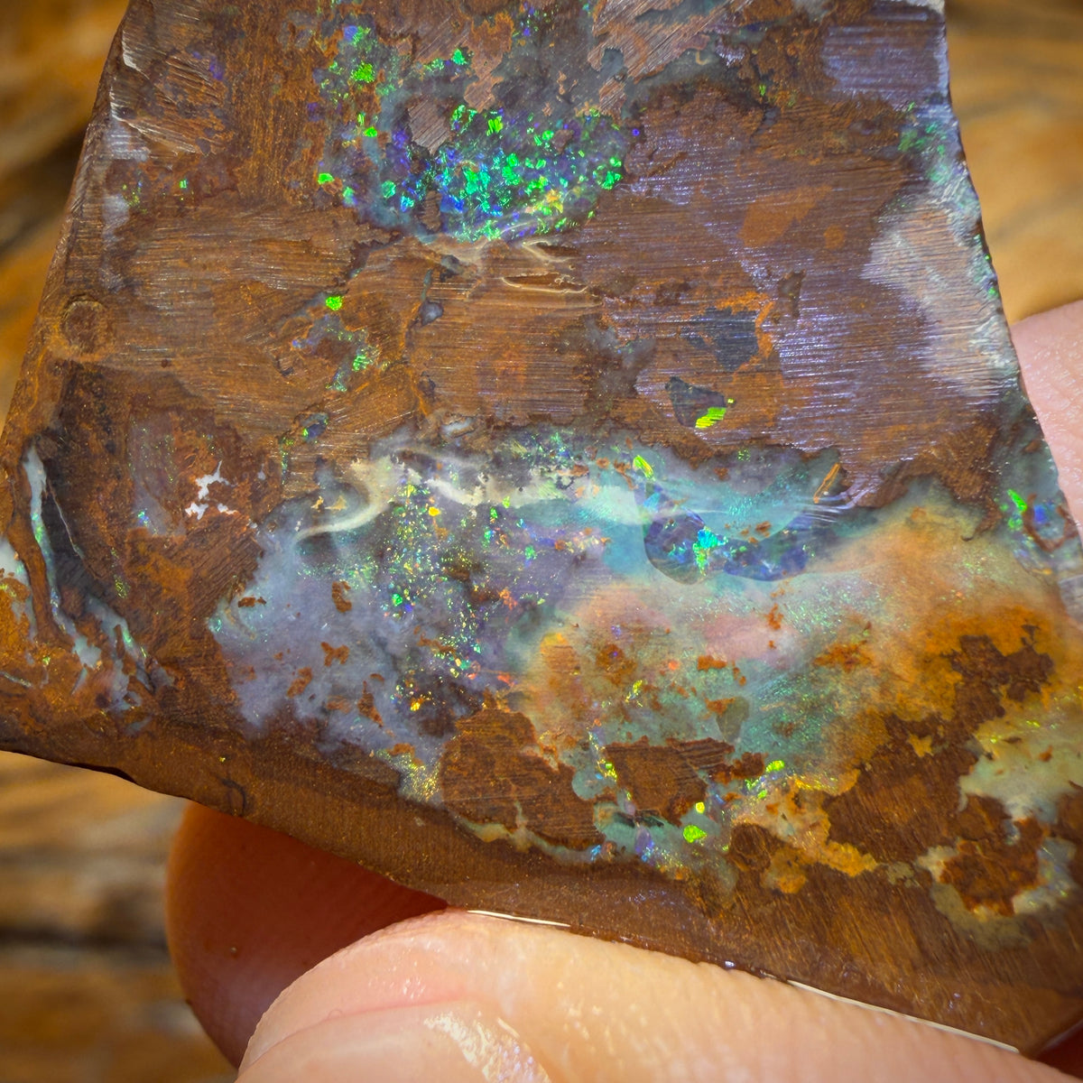 TGIF 70.2cts - Queensland Boulder Seam Opal Rub