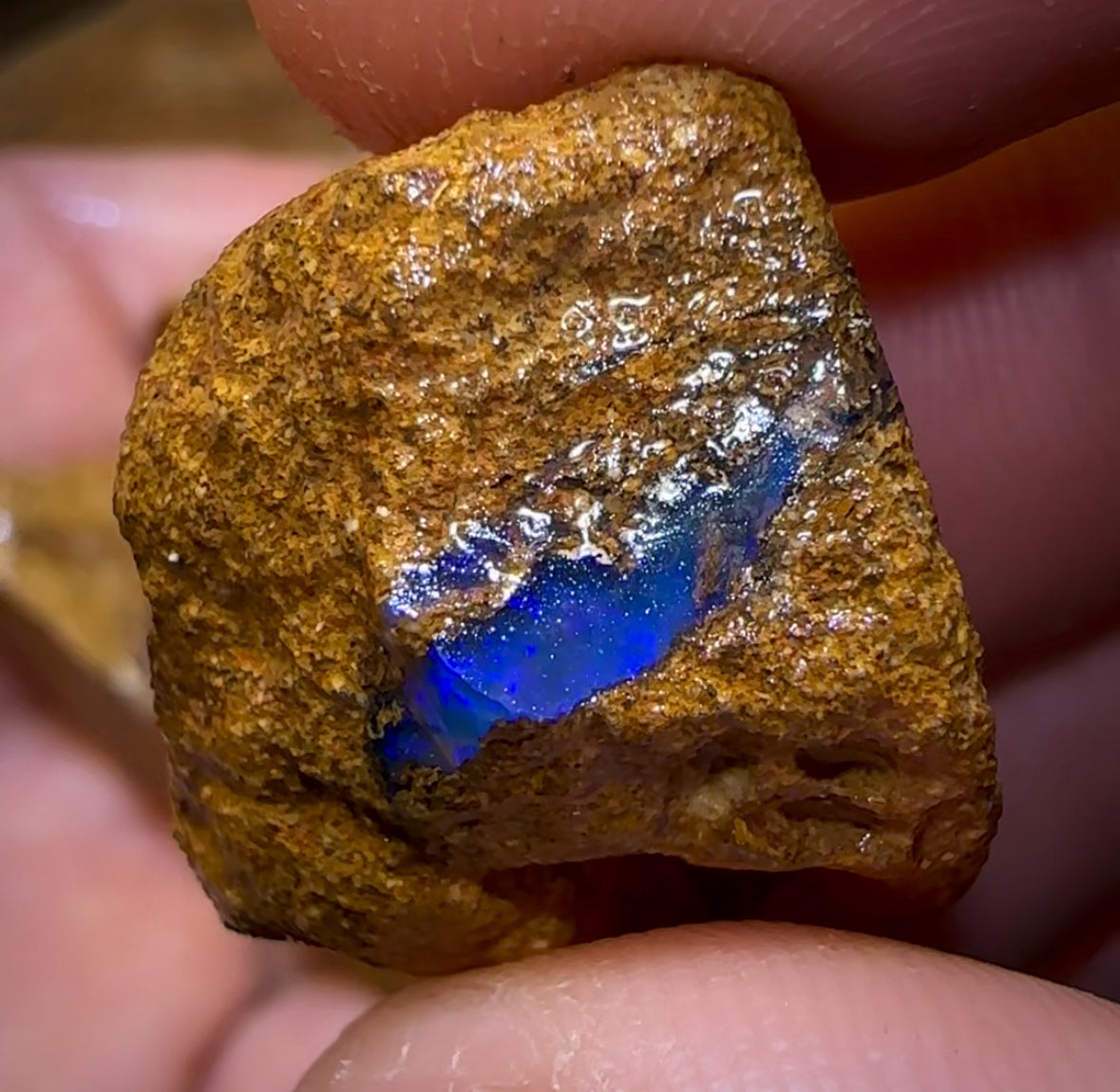 161.5cts - 5x Queensland Boulder Pipe Opal Rough Parcel BARGAIN