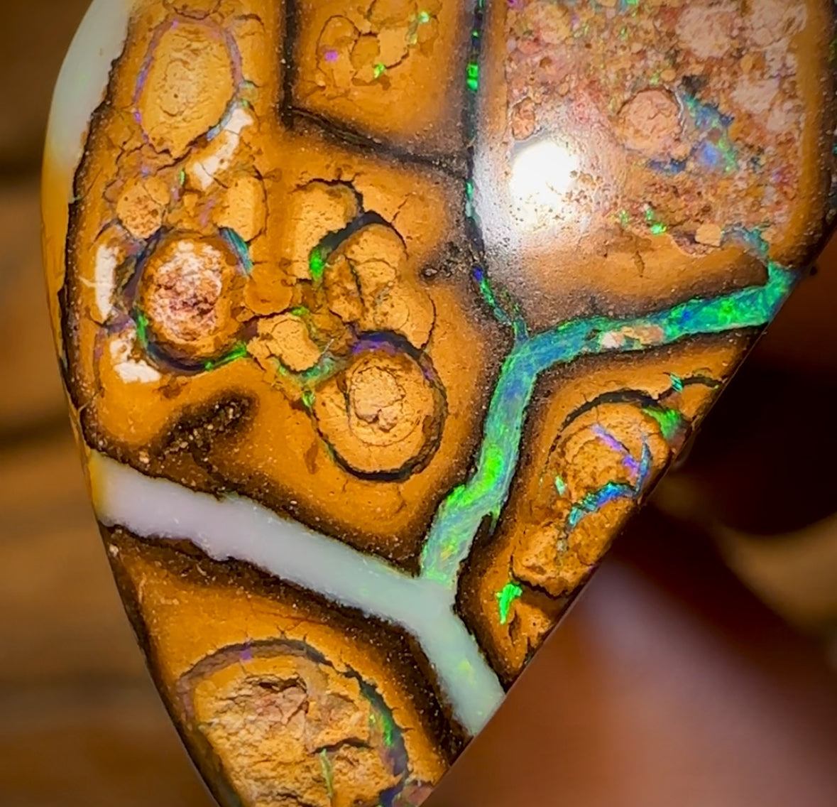 20.8cts - Yowah Nut Tribal Opal Picture Stone