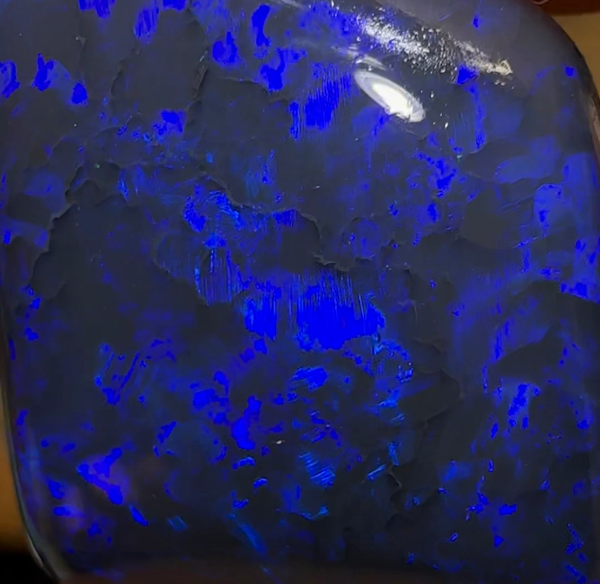 30.3cts - Lightning Ridge Australian Black Opal - Opal Whisperers