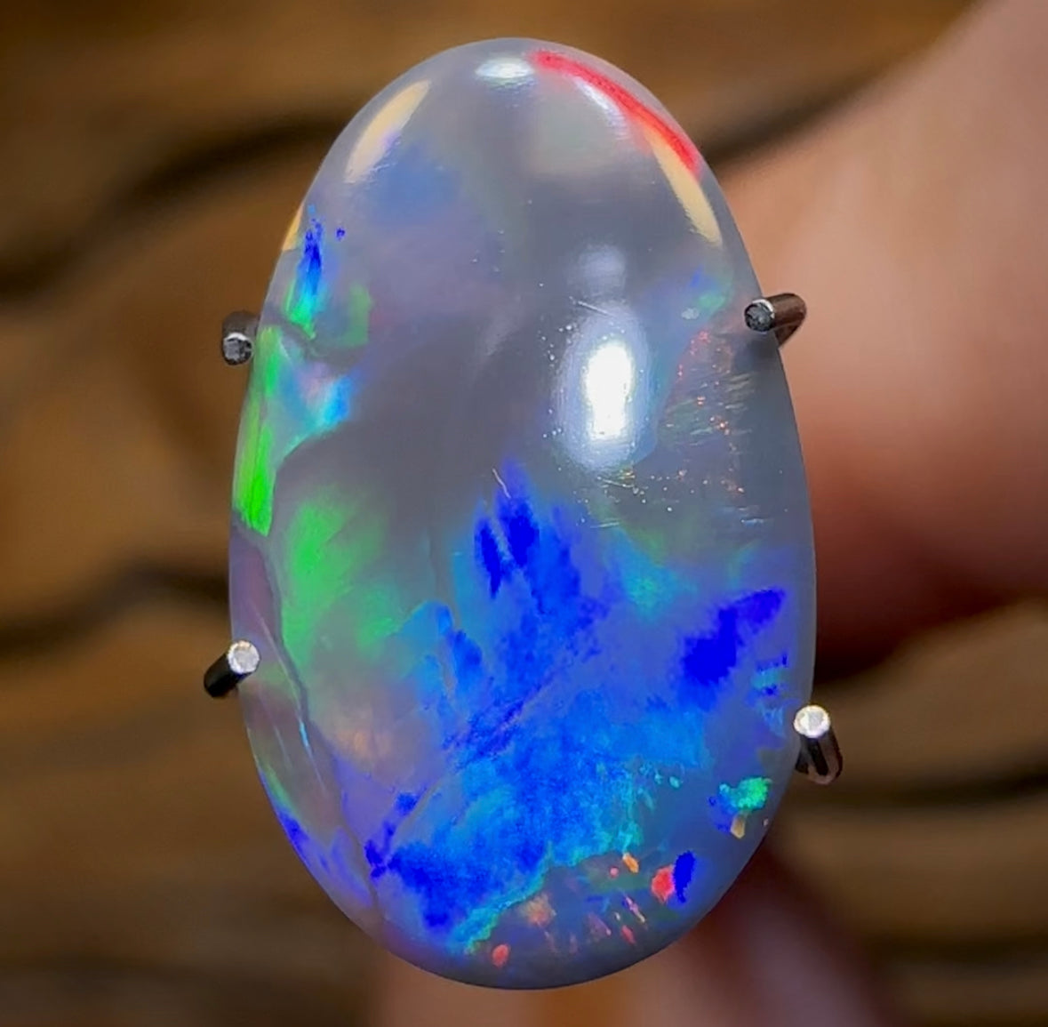 1.35cts - WOW WONT LAST “Twister” GEM Dark Opal from Lightning Ridge. Metallic Colour - Opal Whisperers