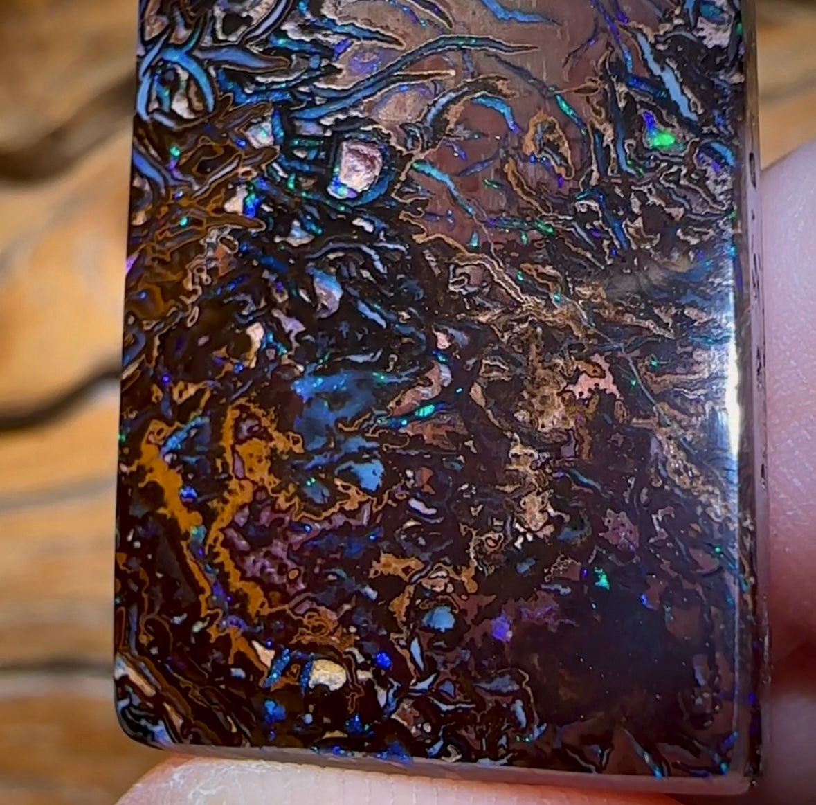 73.2cts - Tribal Queensland Boulder Opal from Koroit - Opal Whisperers
