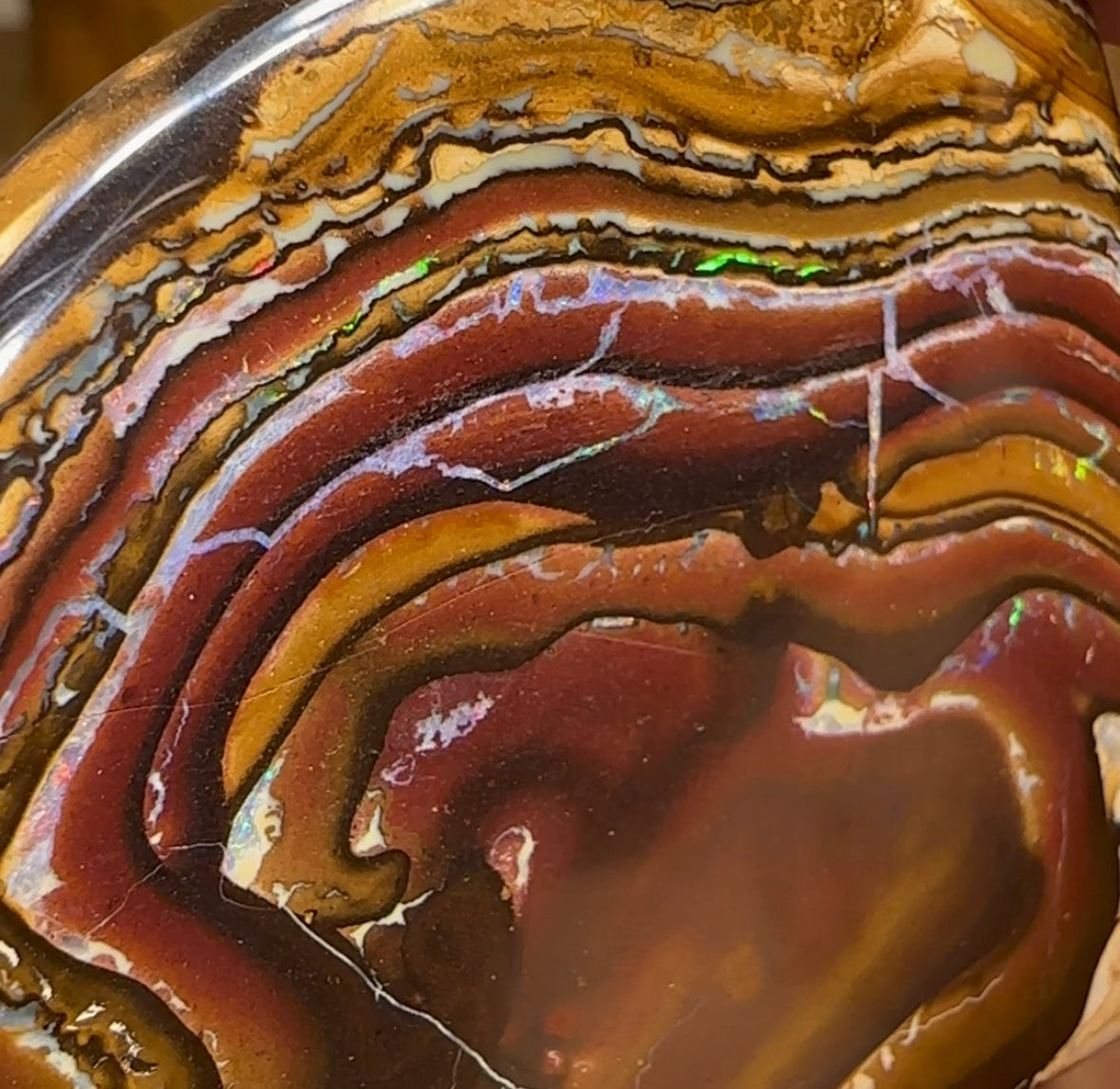 265cts - Australian Boulder Opal Specimen Yowah Tribal Landscape - Opal Whisperers