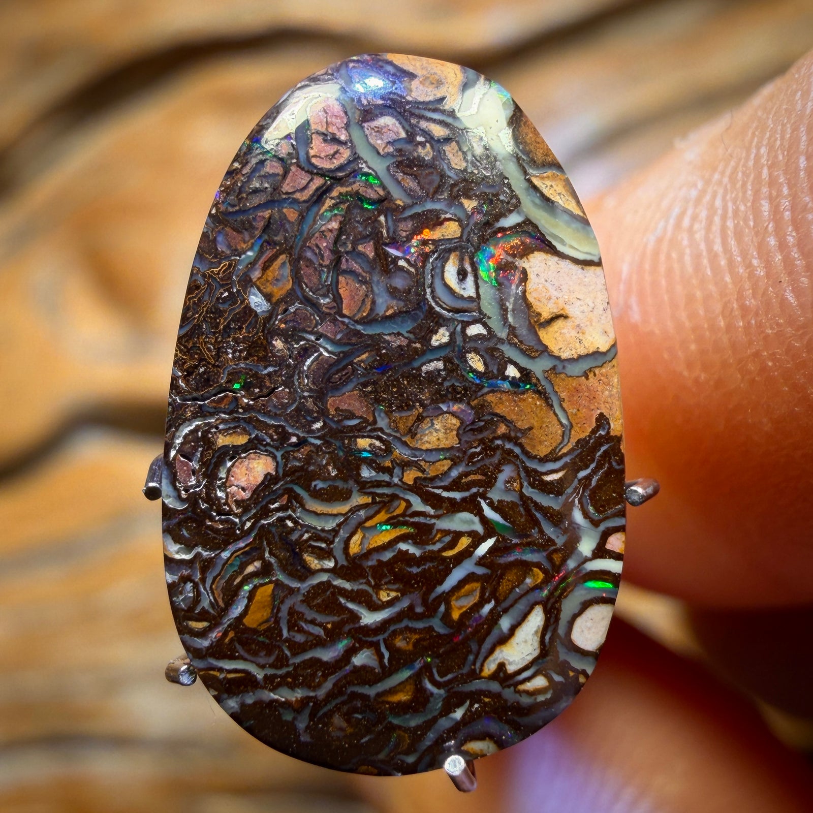 5.2cts - Multicolour Tribal Yowah Nut Opal