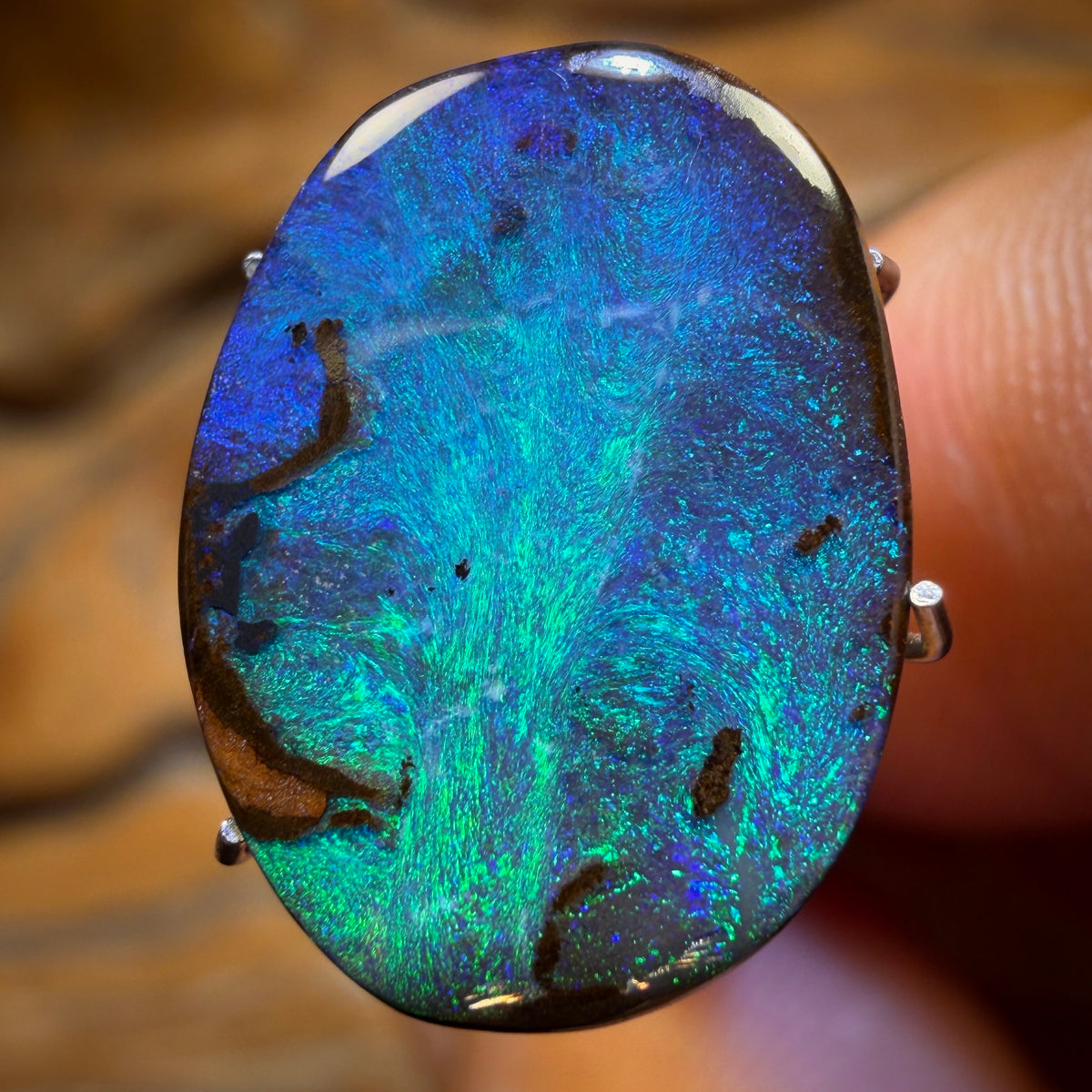 5.6cts - Australian Boulder Seam Opal