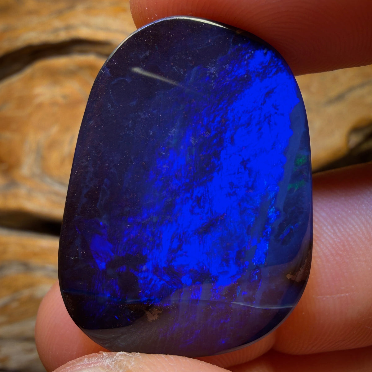 50.4cts - Top Queensland Boulder Seam Opal