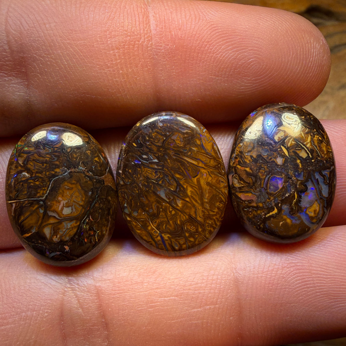 50.8cts - 3x Australian Tribal Boulder Opal’s. Wholesale Parcel