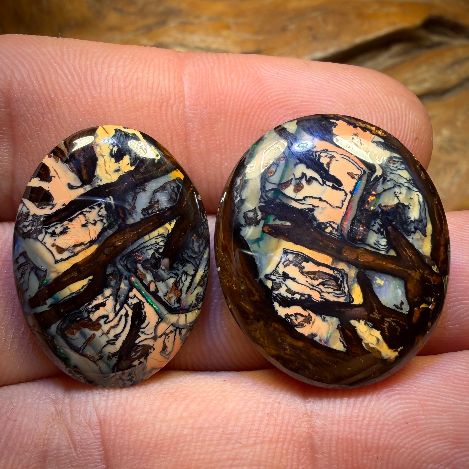 50.8cts - Yowah Nut Kernel Opal Pair
