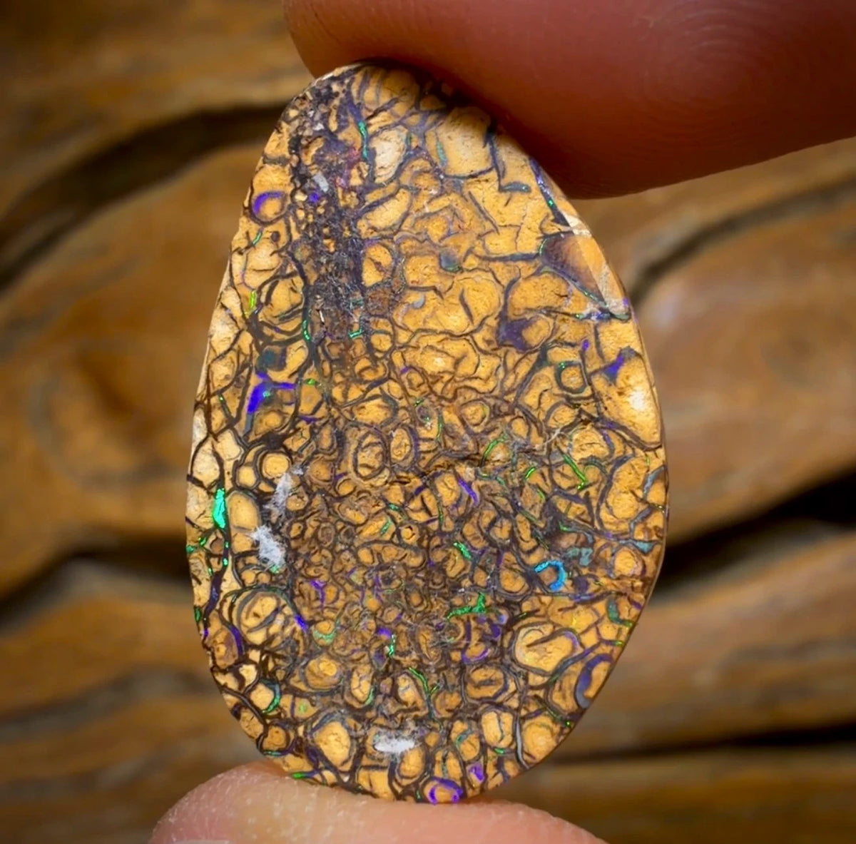 WildCard! 16.5cts - Tan Tribal Australian Boulder Opal from Yowah