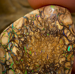 40.4cts - Double Sided Australian Boulder Opal. Tribal Pattern