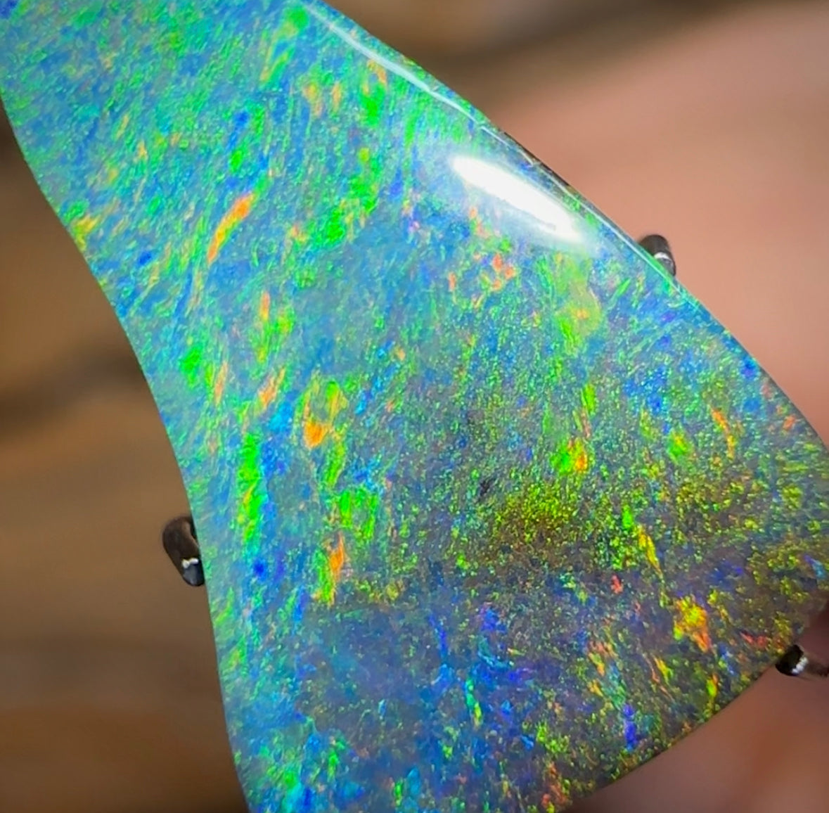 (Template) 4.5cts - Queensland Boulder Opal from Winton. Gem Quality - Opal Whisperers