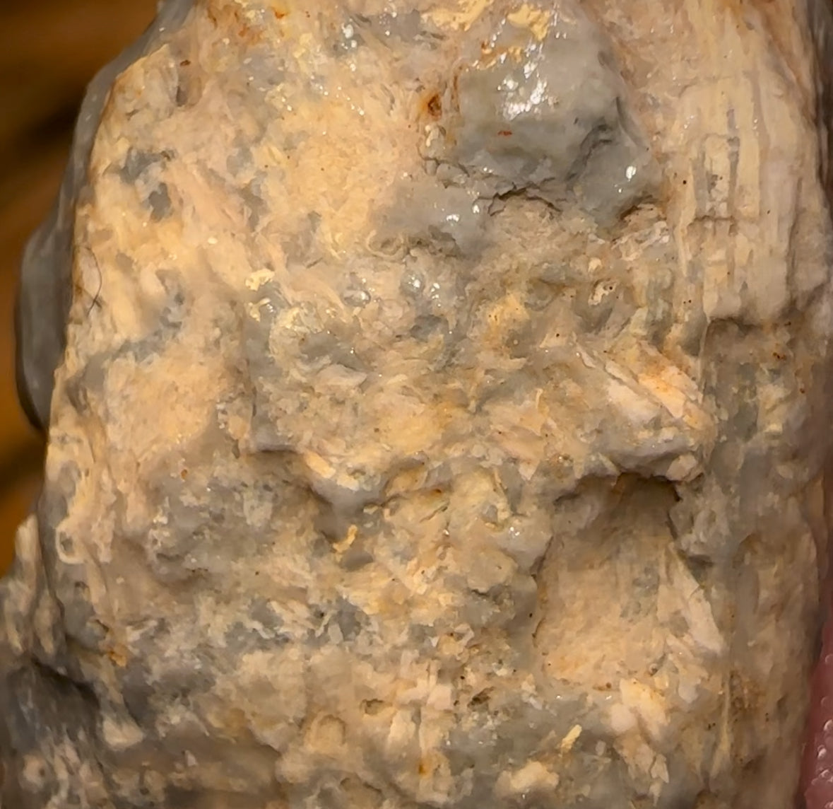 Auction Fall-Through = Your Gain! 🔥 Now More Than 50% Off RRP 🚨 27.6cts - Lightning Ridge Wood / Vegetation Fossil Opal Rough Specimen