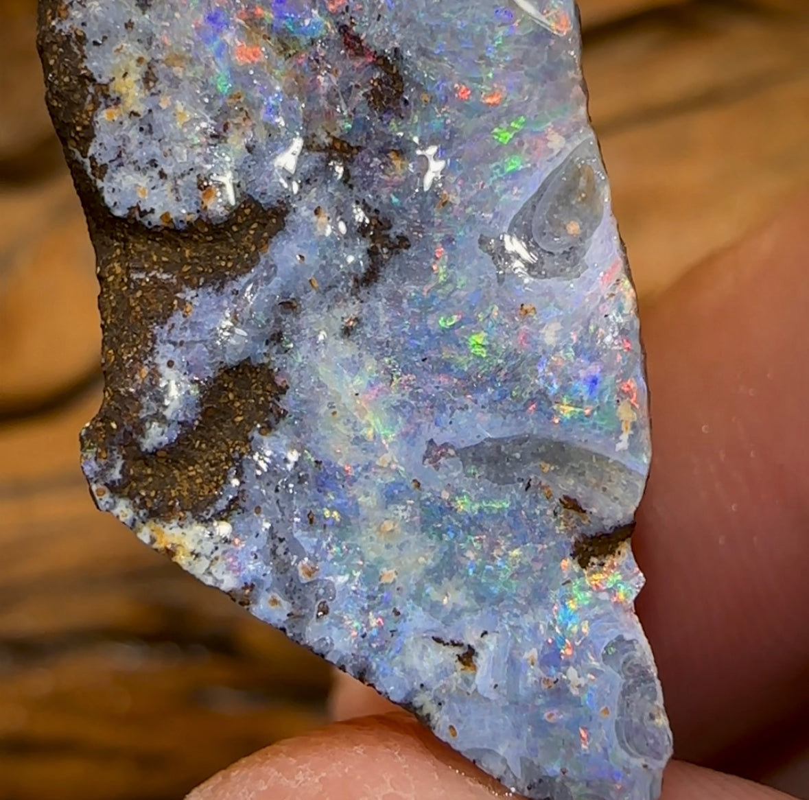 16.5cts - Australian Boulder Opal Rough Preform. Natural Split - Opal Whisperers
