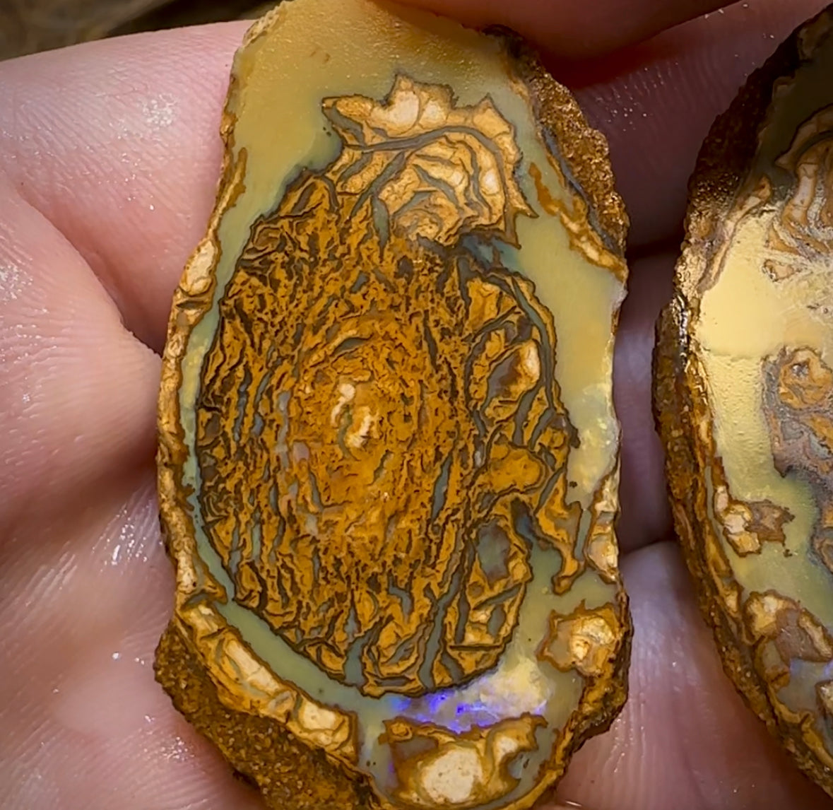 136.3cts - Yowah Nut Rough Specimen Pair. Australian Boulder Opal - Opal Whisperers