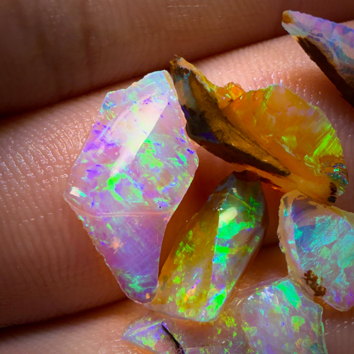 13.1cts - 7x Australian Yowah Wood Crystal Opal Rough Pieces. Highly Prized Material