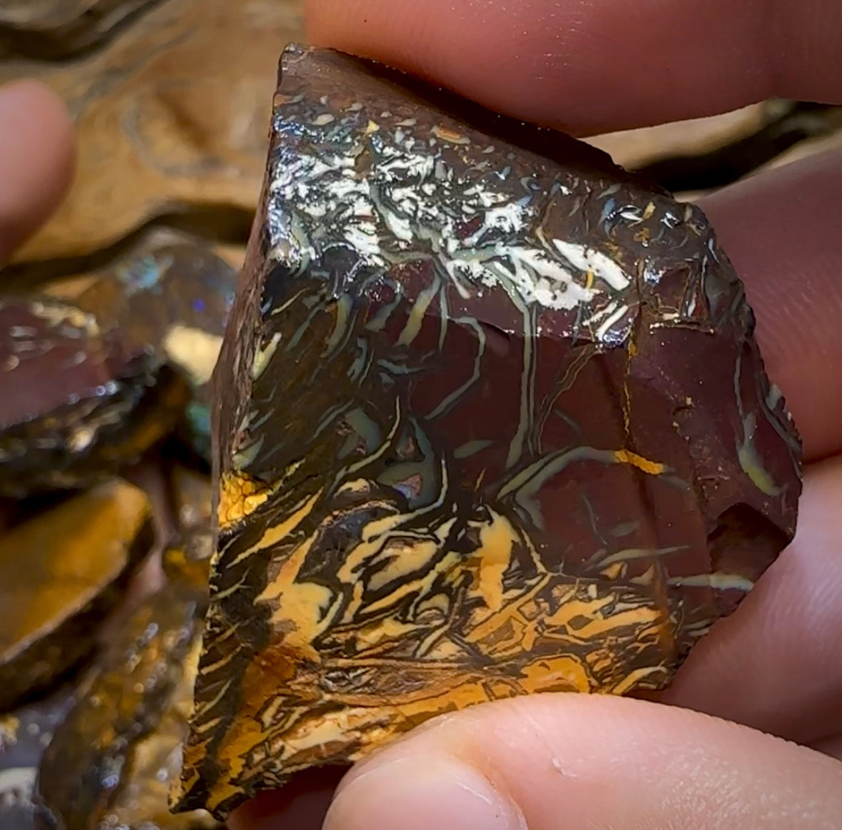 317.9g - 15x Yowah Nut Rough Pieces. Tribal and Crystal Centres Australian Opal - Opal Whisperers