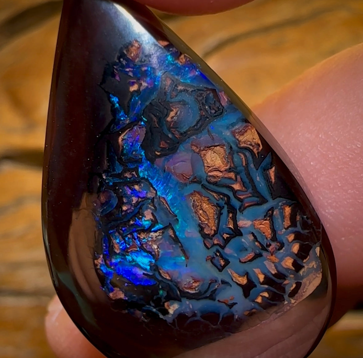 50.6cts - “Deep Blue Tribal”Koroit Nut Kernel Opal
