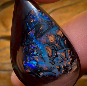 50.6cts - “Deep Blue Tribal”Koroit Nut Kernel Opal