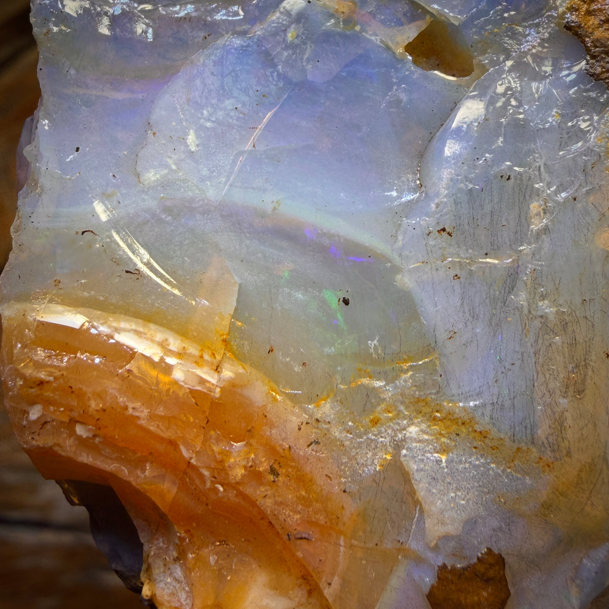554 cts - Ébauche d'opale brute de Boulder Seam du Queensland