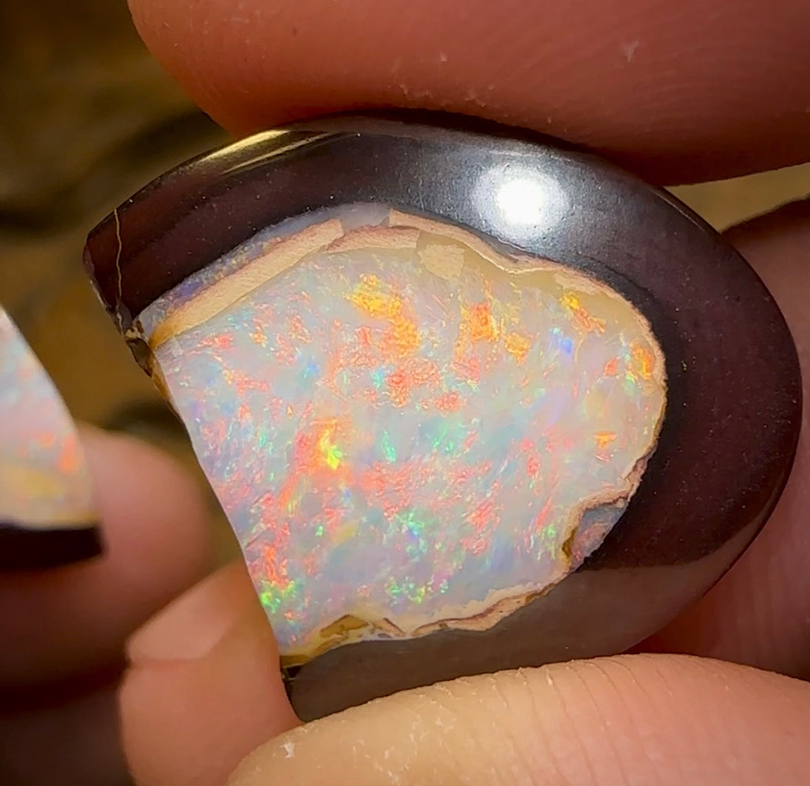 38.7cts - 2 Kernel Fish Yowah Nut Crystal Centre Pair. Heritage Collection - Opal Whisperers