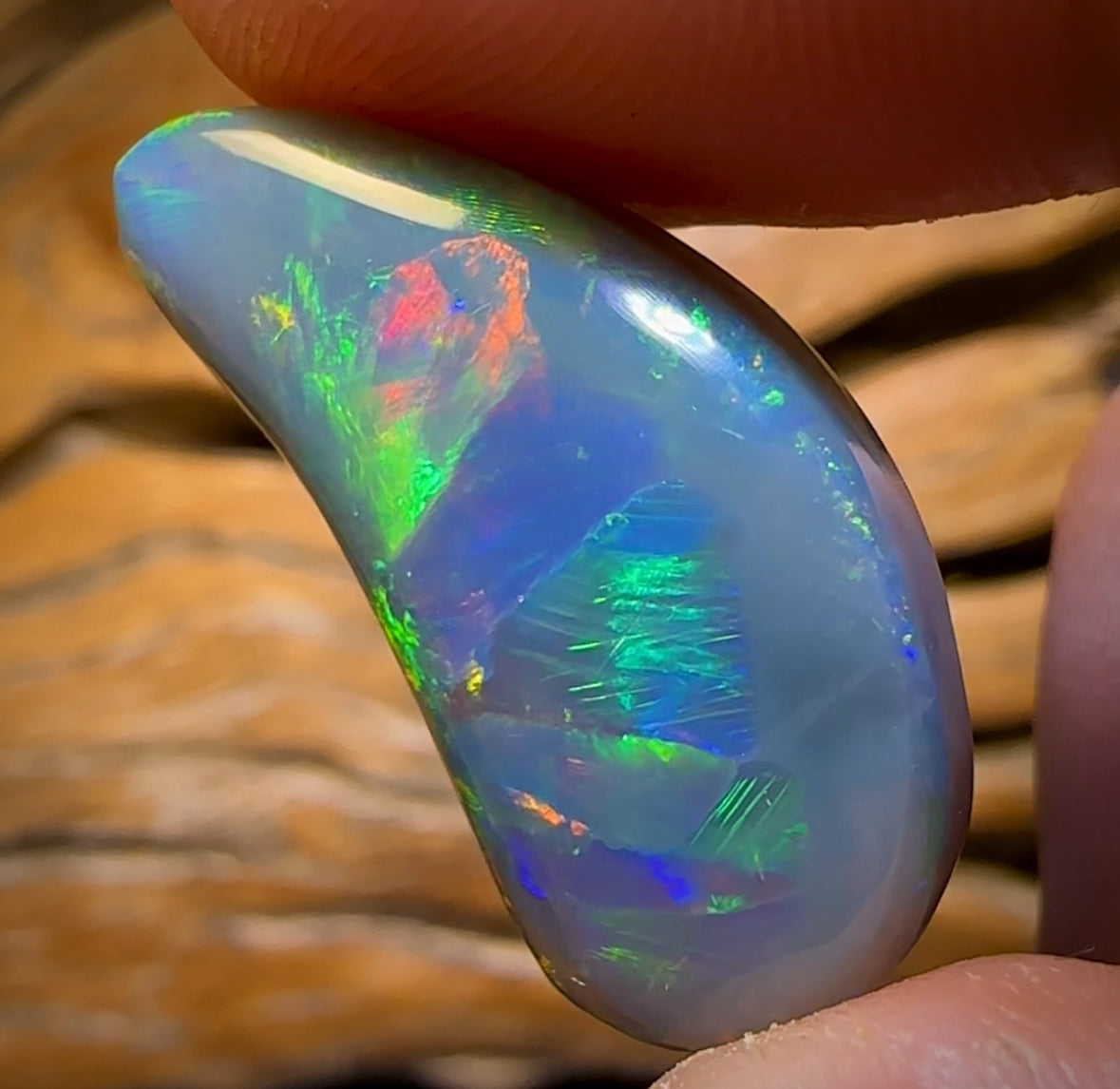 18.1cts - Super Stone Rare South Australian Dark Opal. Multicolour Magic with Amazing Pattern.