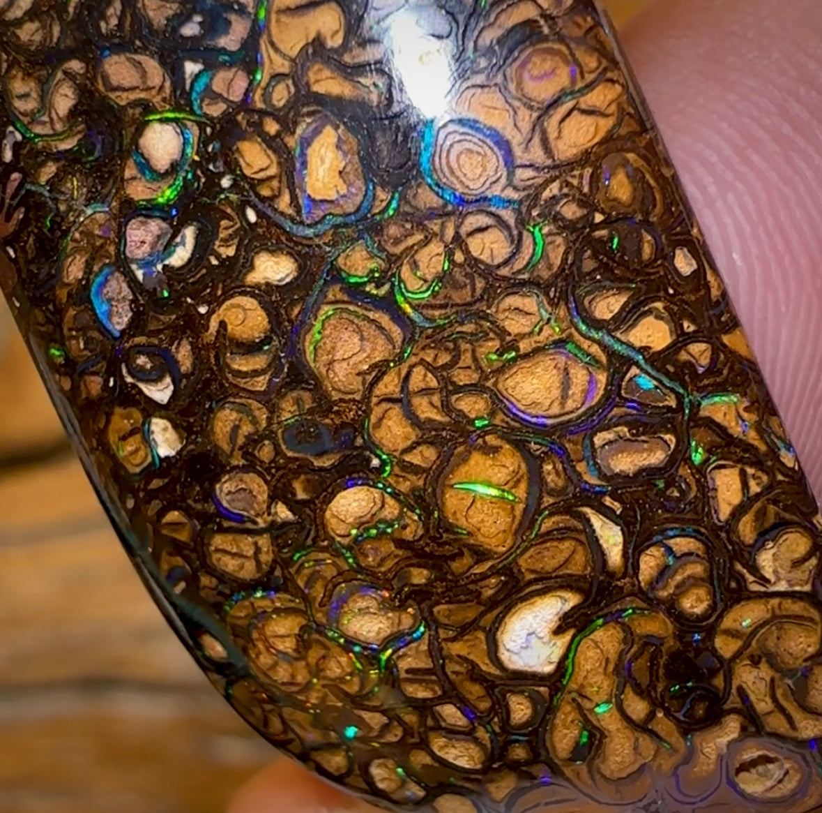 66.2cts - Yowah Nut Tribal Opal - Opal Whisperers