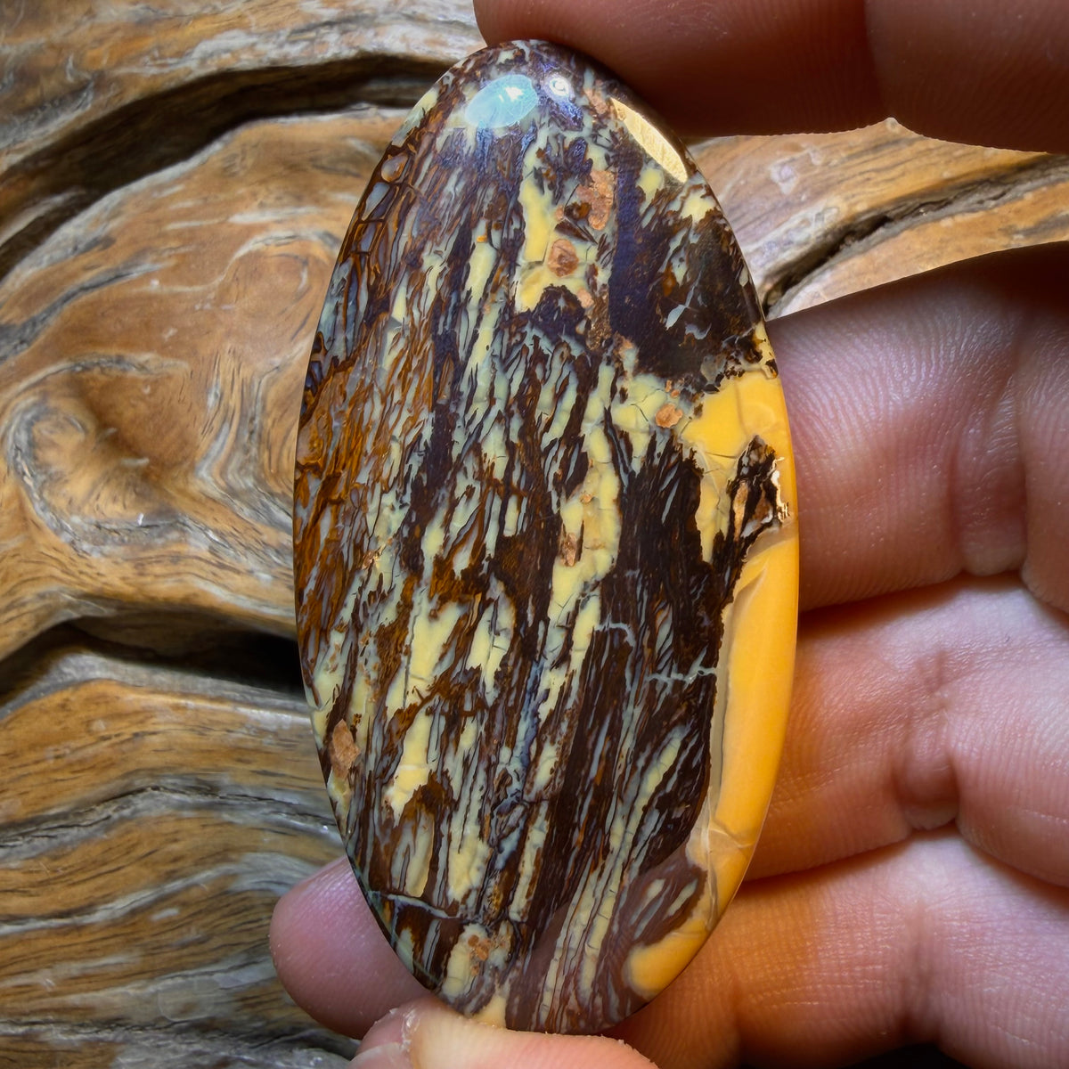 Checkout My WildCard Wood! 159.2cts - Australian Boulder Opal from Yowah. Double Sided
