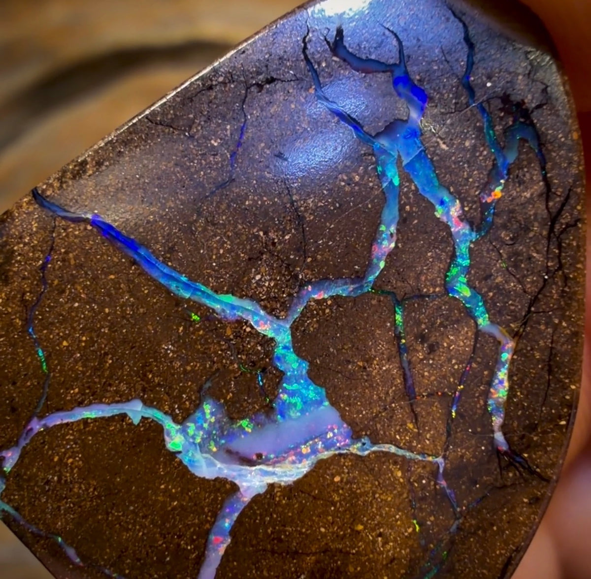 31.2cts - Queensland Boulder Seam Opal. Multicolours!