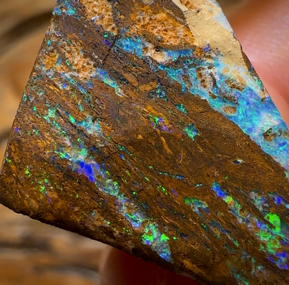 57.1cts - Queensland Boulder Wood Fossil Opal Preform Rub