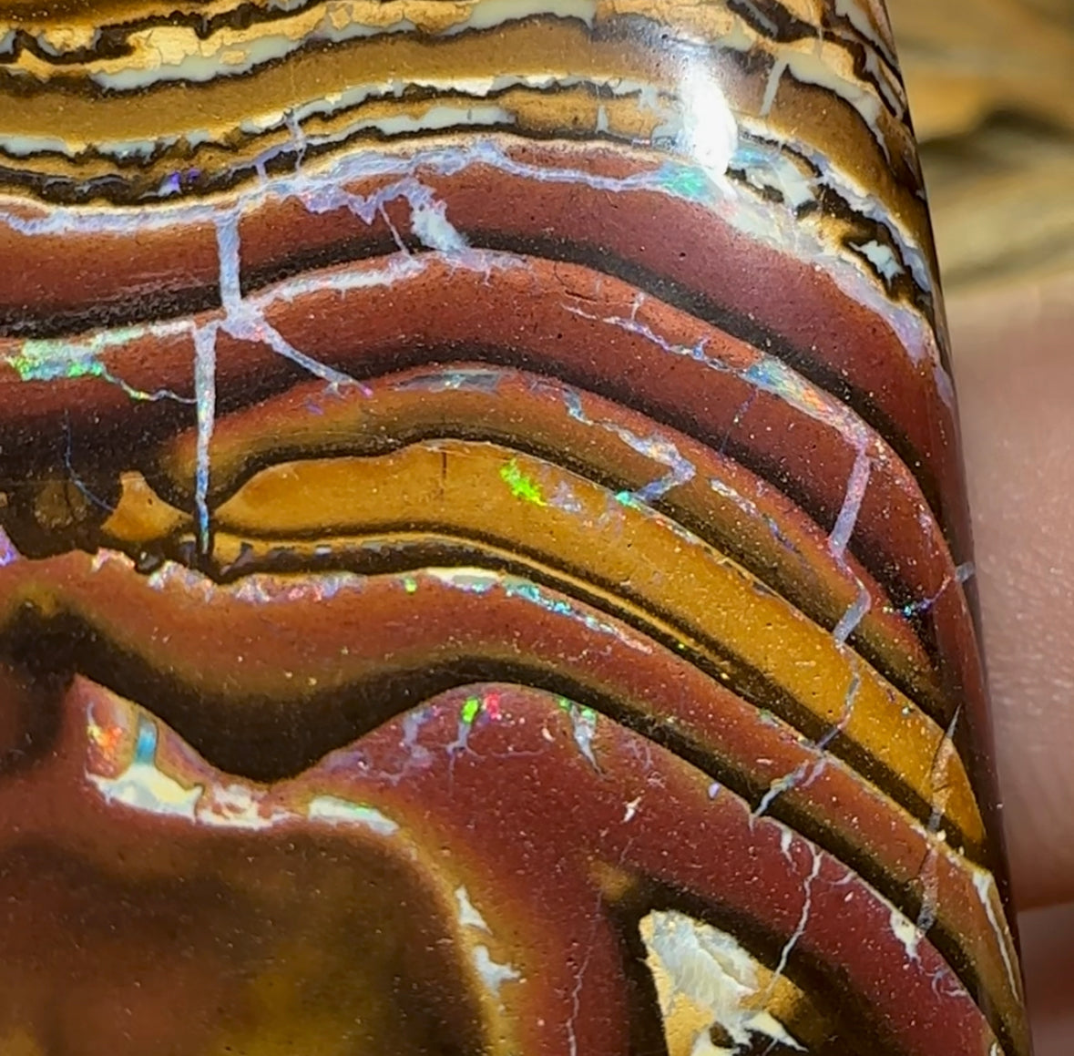 265cts - Australian Boulder Opal Specimen Yowah Tribal Landscape - Opal Whisperers