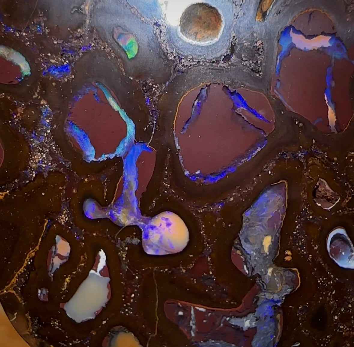 50.9cts - Large Koroit Nut Conglomerate Opal. Double Sided