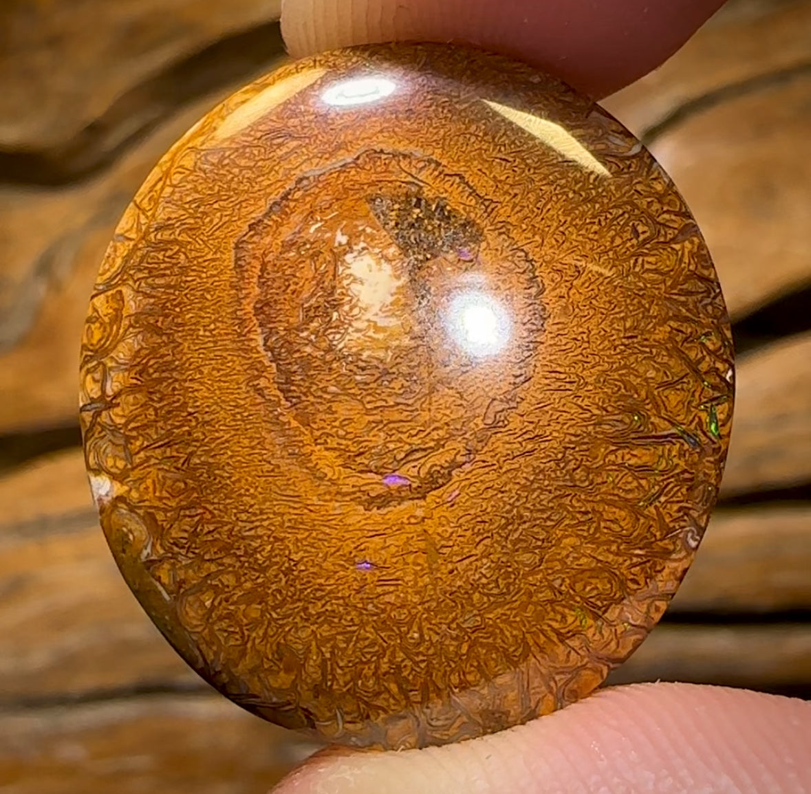 35.3cts - Tribal Australian Boulder Opal from Yowah