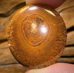 35.3cts - Tribal Australian Boulder Opal from Yowah