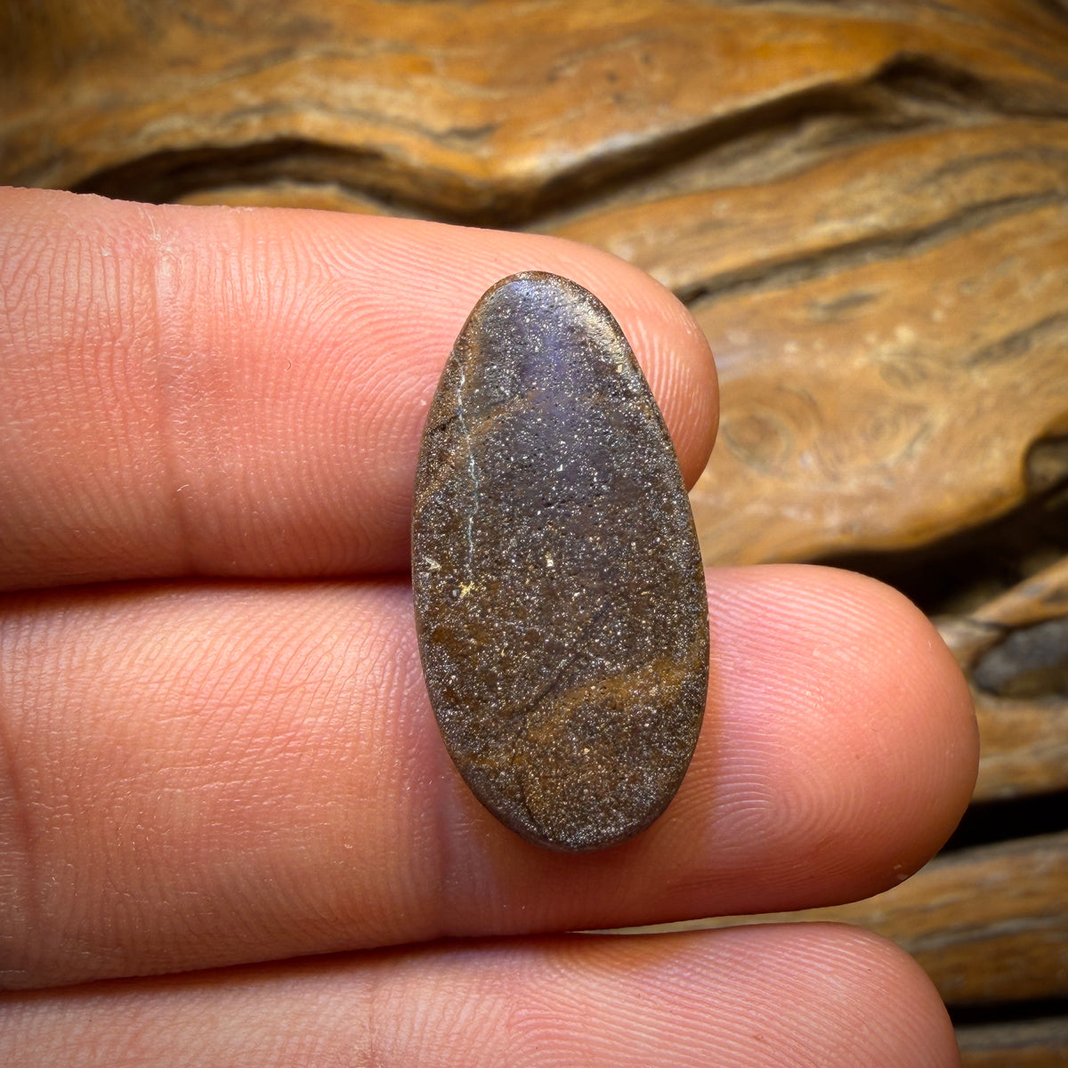 13.7cts - Queensland Boulder Seam Opal. Australian Opal