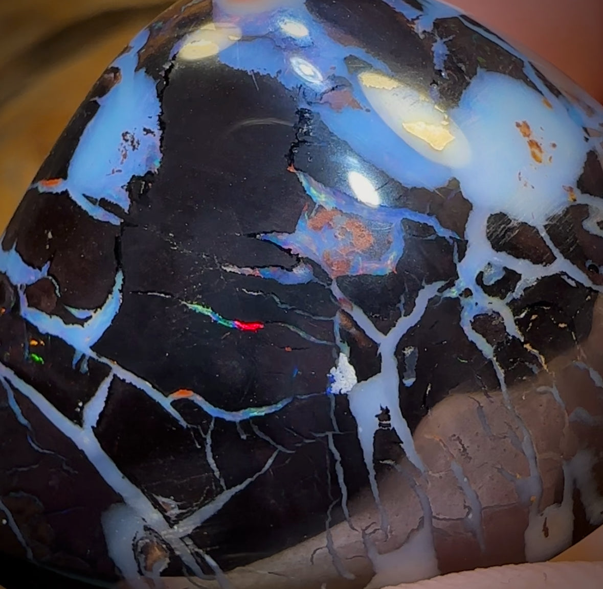 251.5cts - BIG Rare Tribal Black Boulder Opal Polished Specimen