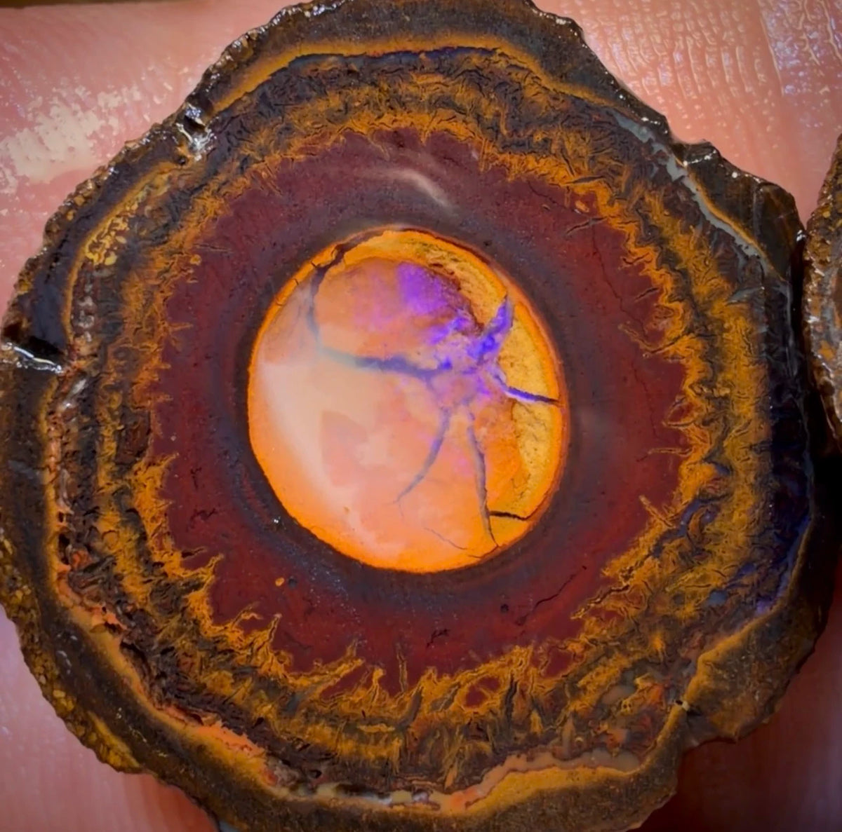 OpalFest Wildcard! 114.3cts - RARE Yowah Nut Crystal Centre Rough Specimen Pair