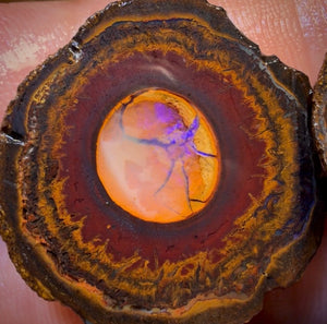 OpalFest Wildcard! 114.3cts - RARE Yowah Nut Crystal Centre Rough Specimen Pair