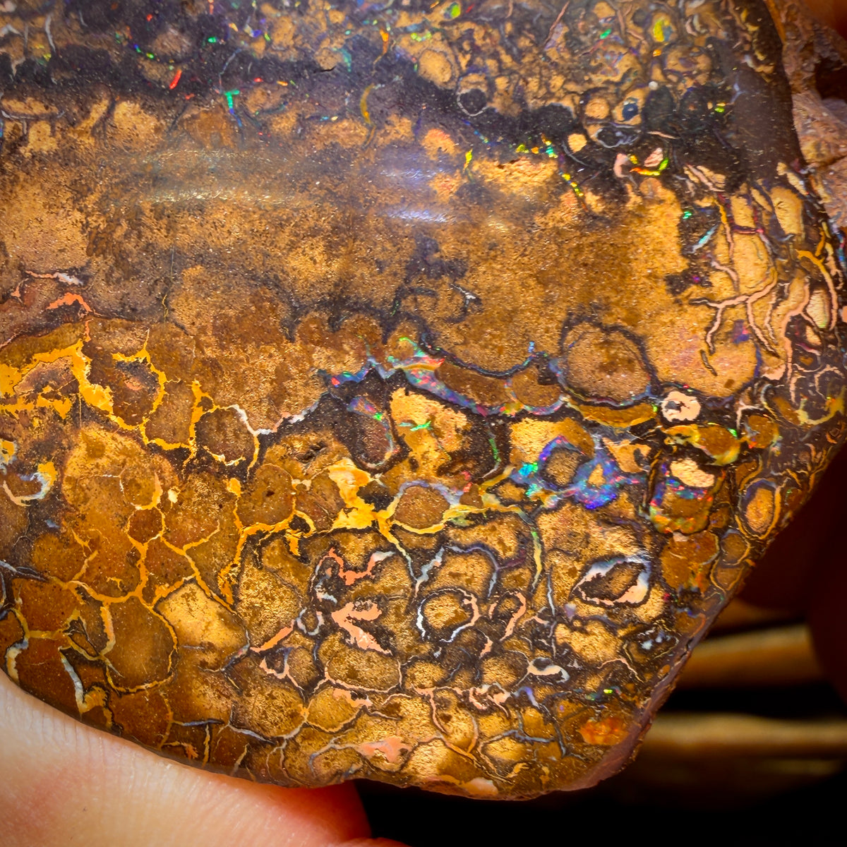 1033 carats - Grand spécimen poli d'opale boulder australienne tribale