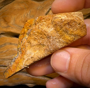 154cts -  Tribal Queensland Boulder Opal Rough Piece