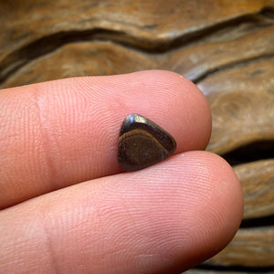 Half Price Card! 1.35cts - Solid Queensland Boulder Seam Opal. Australian Opal