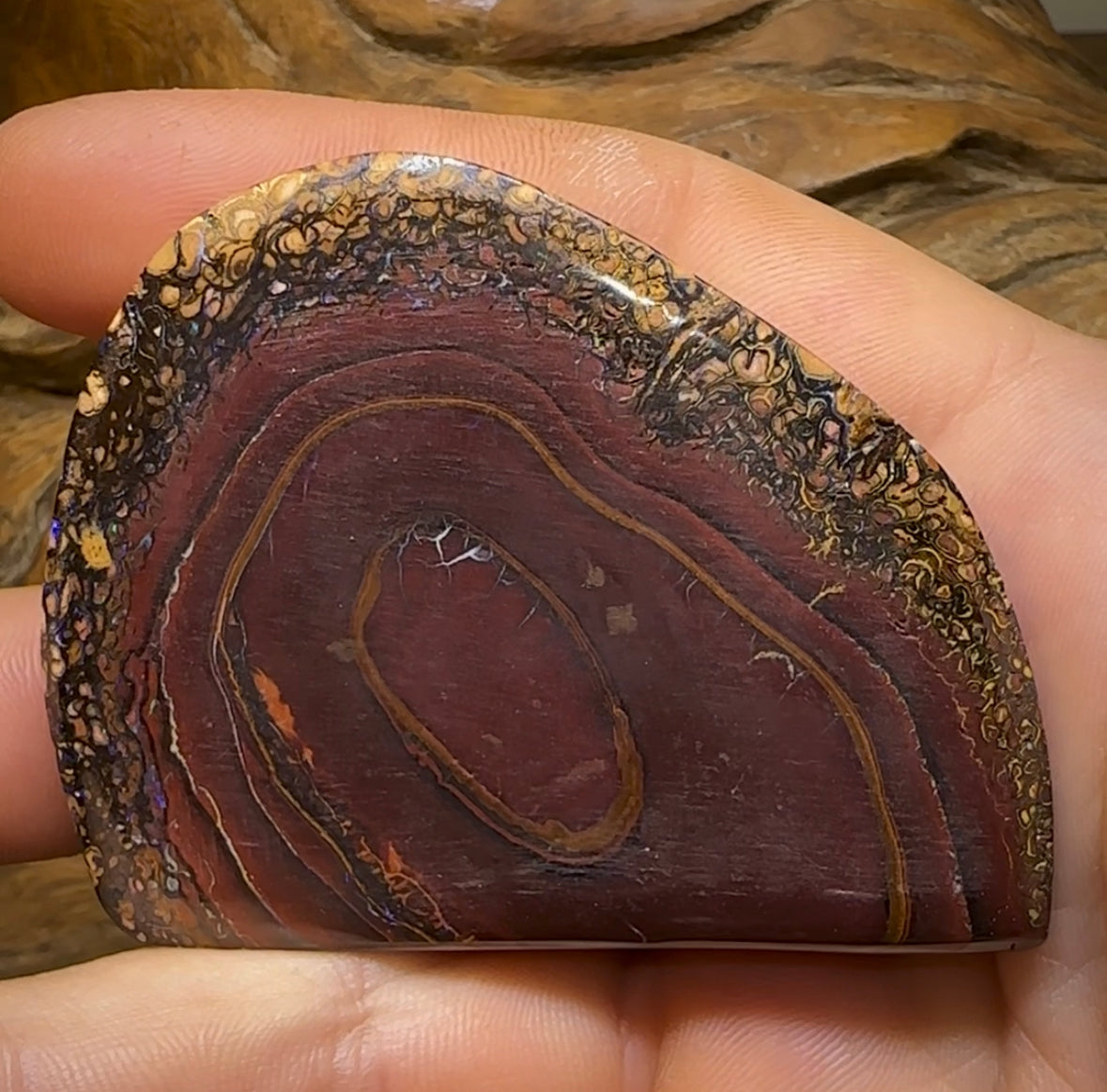 509cts - Large Tribal Australian Boulder Opal Specimen Polished - Opal Whisperers