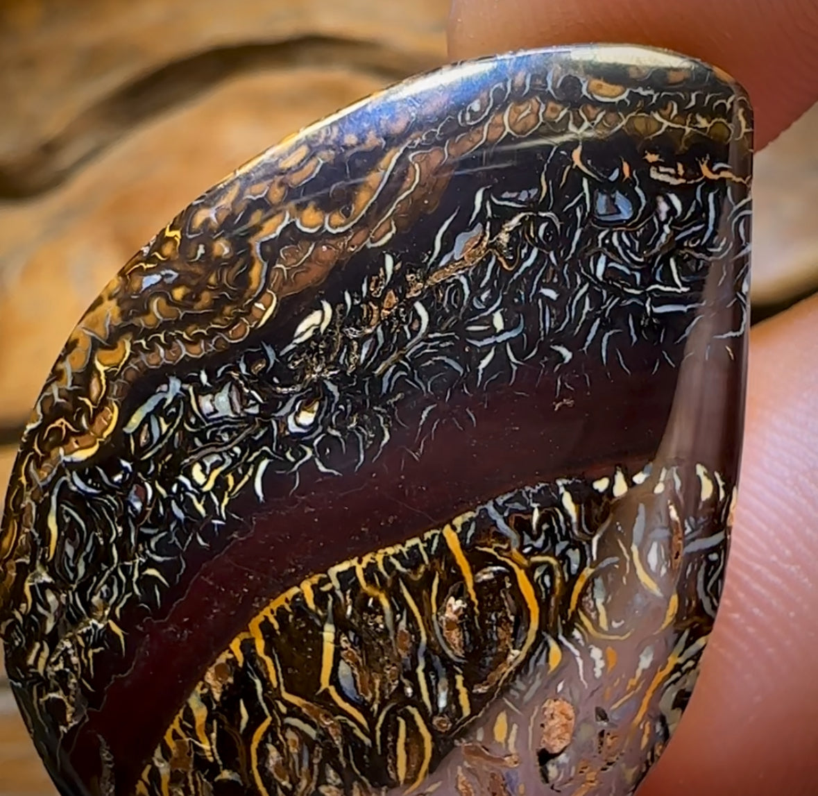 72.2cts - “Black Forrest” Top Tribal Pattern Queensland Boulder Opal Picture Stone from Koroit