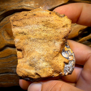 1033 Karat – Großer, polierter australischer Boulderopal im Stammesstil