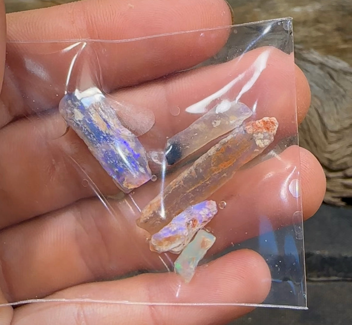 16.4cts - Lightning Ridge, Fossil Rough Opal Specimen - Opalwhisperers