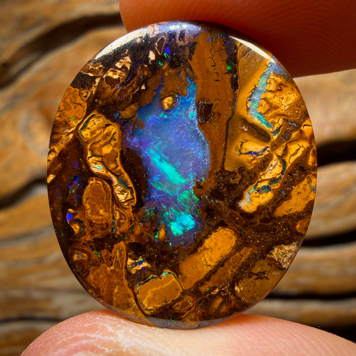 52.5cts - Top Queensland Boulder Opal from Yowah